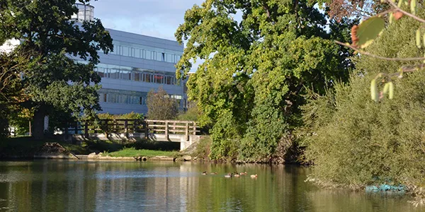 Die Stadtgutteiche im Wirtschafts- und Dienstleistungspark Stadtgut Steyr laden zum Entspannen ein. Foto: TIC Steyr
